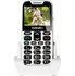 Mobilní telefon Evolveo EasyPhone XD Single SIM