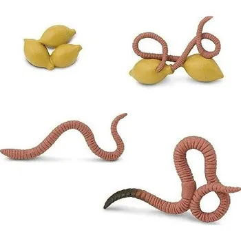 Dřevěná hračka SAFARI 664016 ŽIVOTNÍ CYKLUS ŽÍŽALA