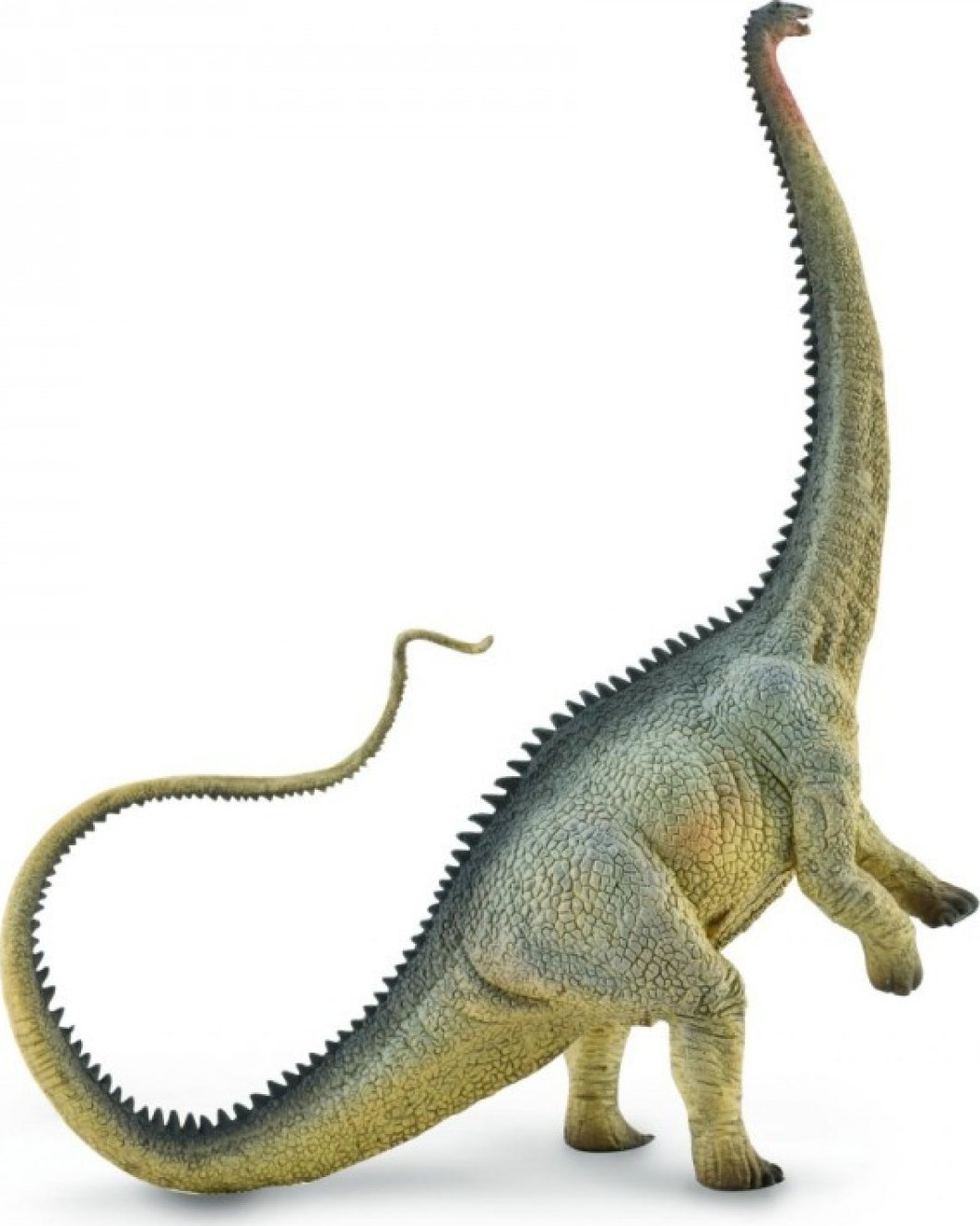 Collecta Diplodocus 23 cm od 149 Kč Zbozi.cz