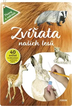 Encyklopedie Zvířata našich lesů - Nakladatelství Junior (2020, brožovaná)