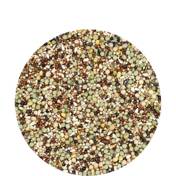 Krmivo pro ptáka Versele-Laga Standard Kings Pearls 5 kg standardní základní směs výstavních holubů