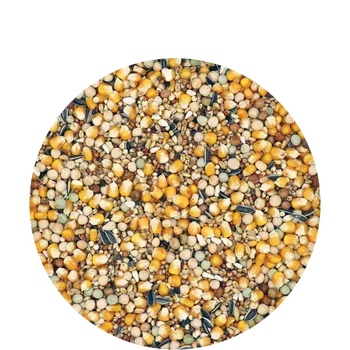 Krmivo pro ptáka Versele-Laga Mariman Standard Breeding & Racing 5 kg základní obilná směs pro holuby s prémiovou jesličkovou kukuřicí pro chovatelskou a sportovní sezónu bez ječmene