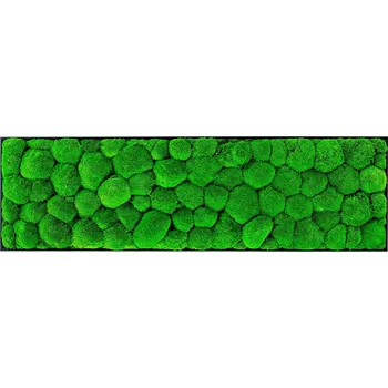 Obraz Gardners 140x40 cm Kopečkový mech Černá