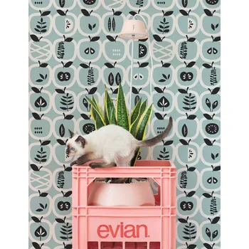 Tapeta Coloray Fototapeta Očarované jablko Samolepící Fototapeta Vliesová 250 x 250 cm coloraydecor-f-as-155736416