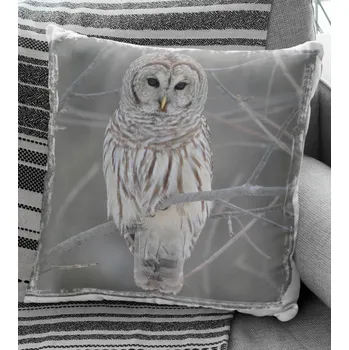 Dekorativní polštářek Polštář Sova 3 29 x 29 cm
