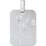 Stříbrný přívěsek znamení zvěrokruhu - Rak SILVEGOB11430S07