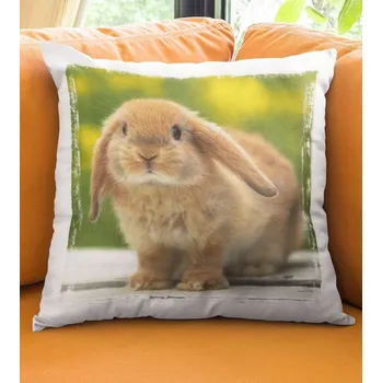 Dekorativní polštářek Polštář Králik 2 29 x 29 cm