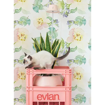 Tapeta Coloray Fototapeta Móda na akvarely Samolepící Fototapeta Vliesová 250 x 250 cm coloraydecor-f-ss-291283514