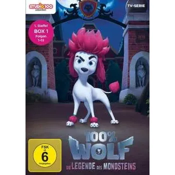Zahraniční hudba 2DVD Various: 100% Wolf - Die Legende Des Mondsteins Staffel 1 Box 1 2021