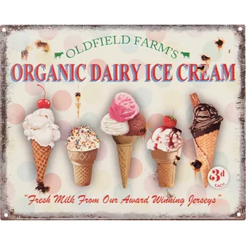 Plechová cedule Barevná nástěnná kovová cedule se zmrzlinkami Ice Cream - 25*1*20 cm
