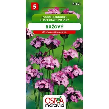 Semeno Osiva Moravia Hvozdík kartouzek růžový 0,3 g