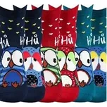 Ponožky Boma PRUHANA ABS 12 - balení 3 páry v různých barvách vínová 35-38 (23-25)