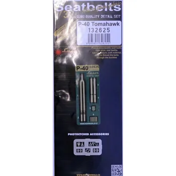 Plastikový model HGW 1/32 Seatbelts P-40 Tomahawk (laser)