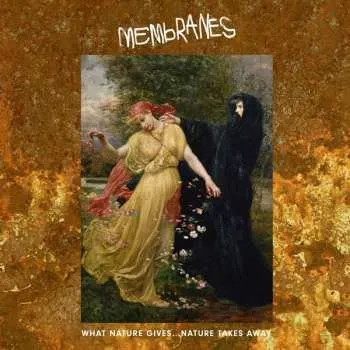 Zahraniční hudba CD The Membranes: What Nature Gives... Nature Takes Away 2019