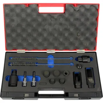 Nářadí pro automobil Triumf sada adaptérů a hlavic na vytahování vstřiků s kartáči na čištění šachty vstřiku, sada 13 dílů - 100-05175