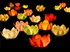 Party dekorace PartyDeco Plovoucí lampiony lotosové květy 6 ks