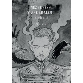 Kniha Než se pěšec stane králem II (2.) - Vojtěch Žák (E-Kniha)