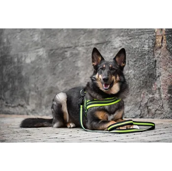 Postroj pro psa Vsepropejska James reflexní postroj pro psa | 44 – 79 cm Barva: Zelená, Obvod hrudníku: 52 - 63 cm