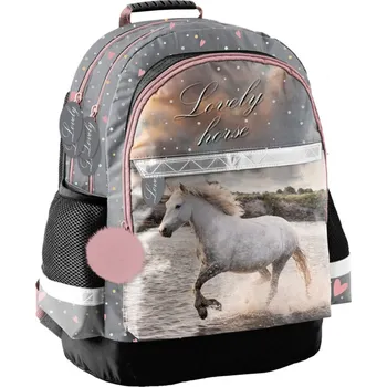 Školní batoh Recenze Paso Školní batoh 21 l 42 x 29 x 16 cm Lovely horse 