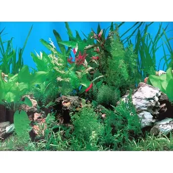 Dekorace do akvária PLAČEK Akvarijní tapeta č.15 – výška 50 cm 50 cm