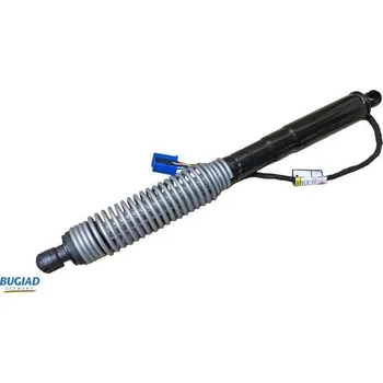 Karosérie Pneumatická pružina, zavazadlový / nákladový prostor BUGIAD BRD50711