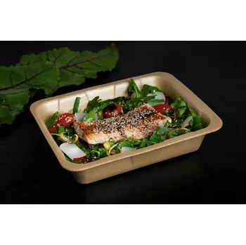 Miska jednodílná termo zatavovací GT1 (XPP - recyklovatelné, 178x227x50)