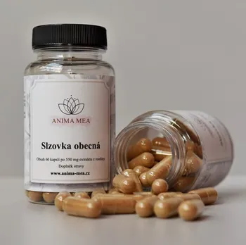 Přírodní produkt Anima Mea Slzovka obecná 550 mg 60 cps.