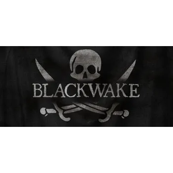 Počítačová hra Blackwake (PC) (Steam)