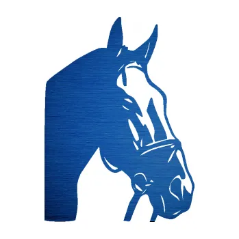 Samolepící dekorace SAMOLEPKA Kůň 089 pravá (65 - škrábaný kov modrý) NA AUTO, NÁLEPKA, FÓLIE, POLEP, TUNING, VLASTNÍ TEXT, TISK, AUTOSAMOLEPKY.cz, POLEPY, OBRÁZEK, LOGO, SAMOLEPKY