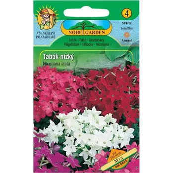 Semeno Nohel Garden Tabák křídlatý nízký směs 350 semen