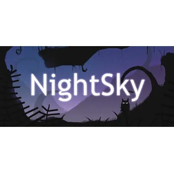 Počítačová hra NightSky (PC) (Steam)