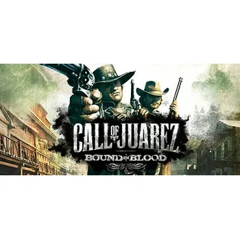 Počítačová hra Call of Juarez: Bound in Blood (PC) (Steam)