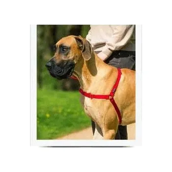 Obojek pro psa PetSafe Postroj EasyWalk , červený XL