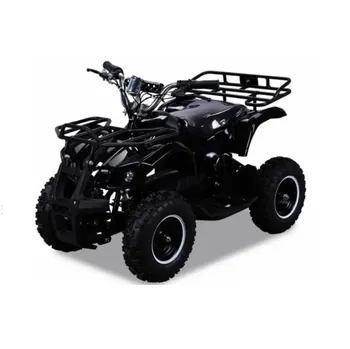 čtyřkolka Dětská čtyřkolka Torino 49 ccm elektrický start