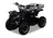 Dětská čtyřkolka Torino 49 ccm elektrický start, černá