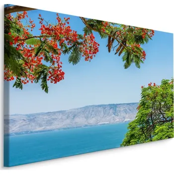 Obraz Plátno Krajina S Mořem A Stromy Varianta: 30x20