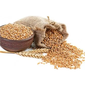 Krmivo pro hospodářské zvíře Pšenice 10 kg