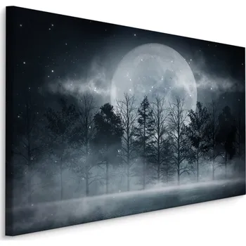 Plátno Úplněk V Zamlženém Lese Varianta: 30x20