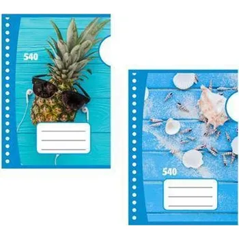 Sešit Školní sešit 540, A5, čistý, 40 listů