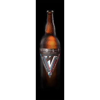 Pivo Zdroj 12° 0,75l