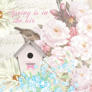 Papírový ubrousek Papírové třívrstvé ubrousky Bird house 20 ks - 33*33 cm