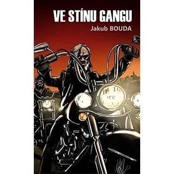 Kniha Ve stínu gangu Ekniha