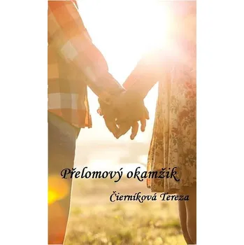 Kniha Přelomový okamžik Ekniha