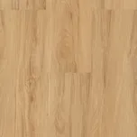 BRASED Ecoline Click 9560 1,883 m2 buk…