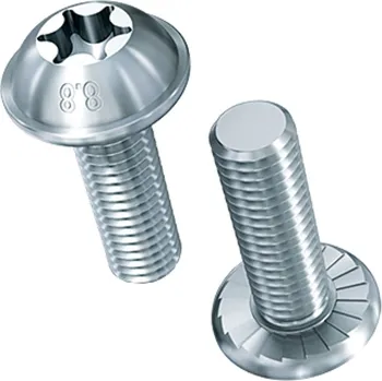 Šroub Šroub TORX půlkulatá hlava s ozubeným límcem ECOSYN-GRIP BN 219 M8x12 8.8 ZB