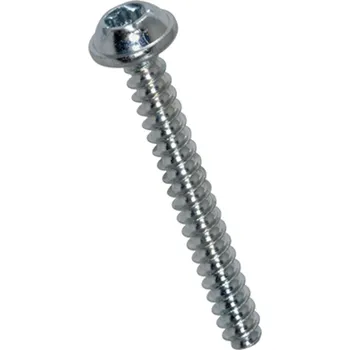 Šroub Šroub do termoplastů s půlkulatou hlavou a límcem s drážkou TORX 60x16 BN 20040 ZB