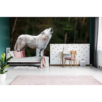 Tapeta Malvis ® Tapeta Bílý vlk Vel. (šířka x výška): 504 x 310 cm