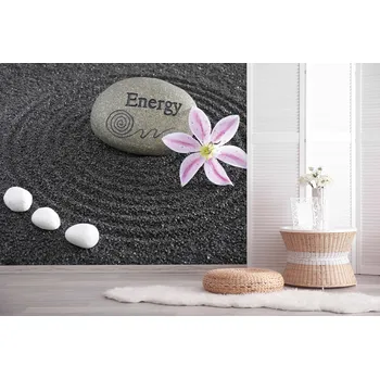 Tapeta Malvis ® Tapeta Zenové kameny Vel. (šířka x výška): 216 x 140 cm