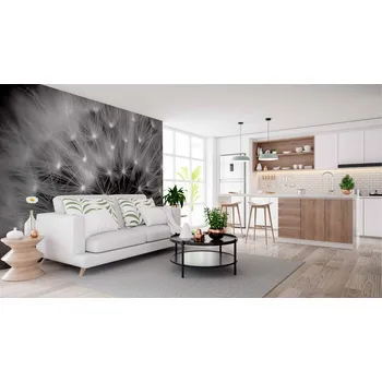 Malvis ® Tapeta Pampeliška černobílá Vel. (šířka x výška): 288 x 200 cm