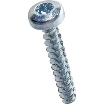 Spojovací materiál Šroub do termoplastů ECOSYN-PLAST s drážkou TORX půlkulatá hlava 2,5x6 BN 84229 ZB